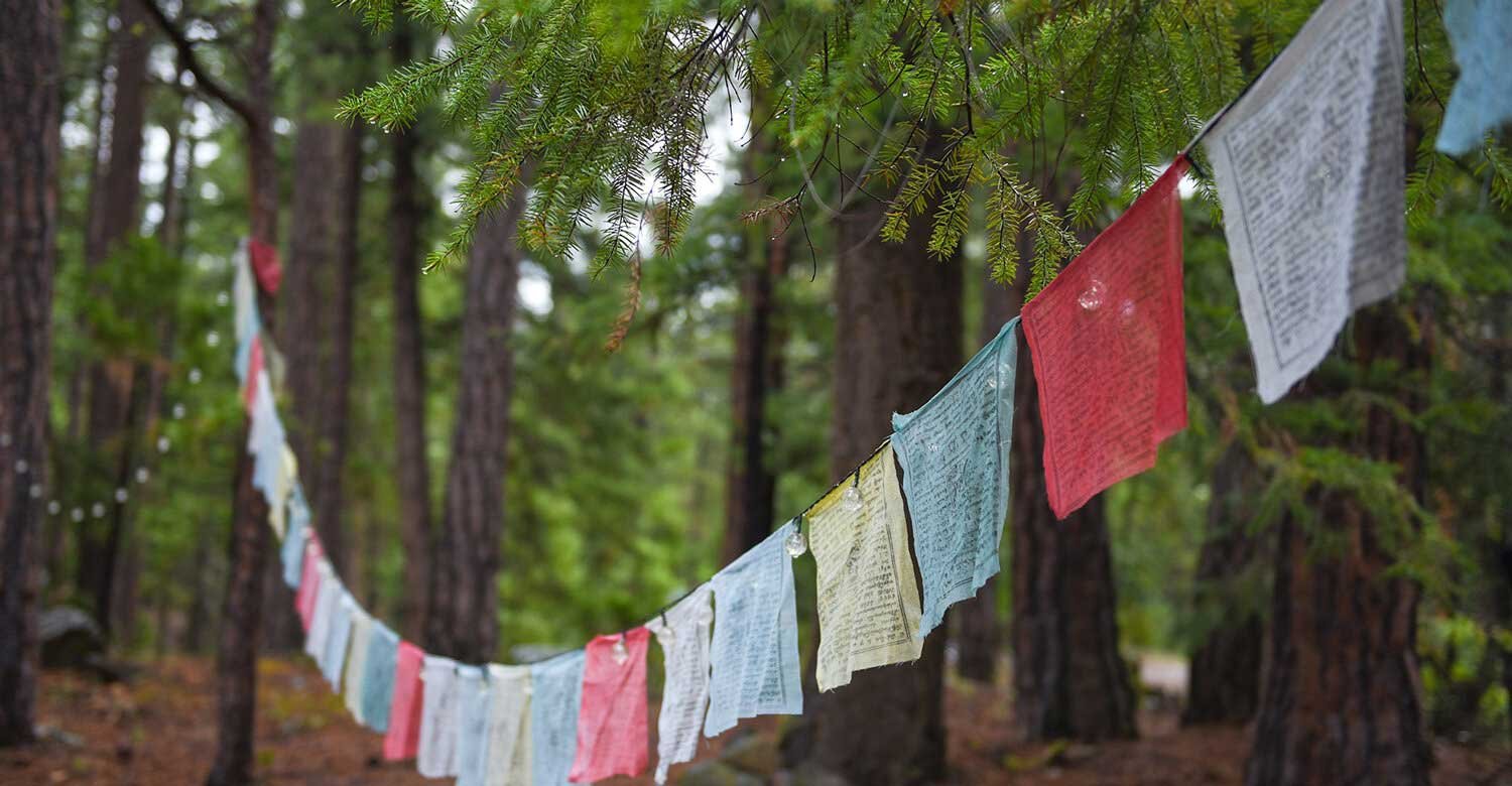 retreat-mount-shasta-mineral-springs07